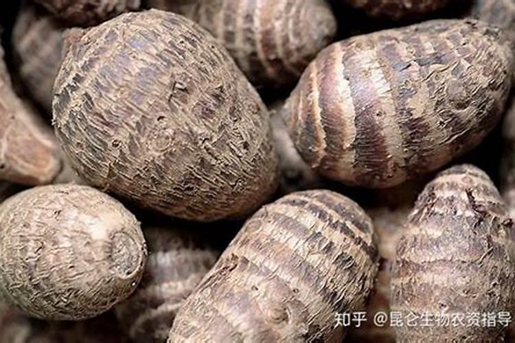 糖醇钙可以跟四氯虫酰胺混用吗？