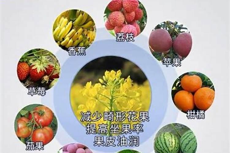 磷酸二氢钾叶面肥喷施的用量