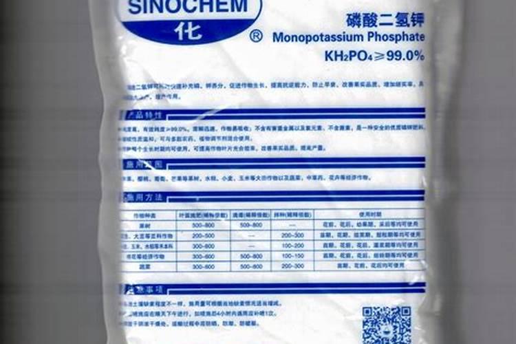 苦丁茶的养殖方法