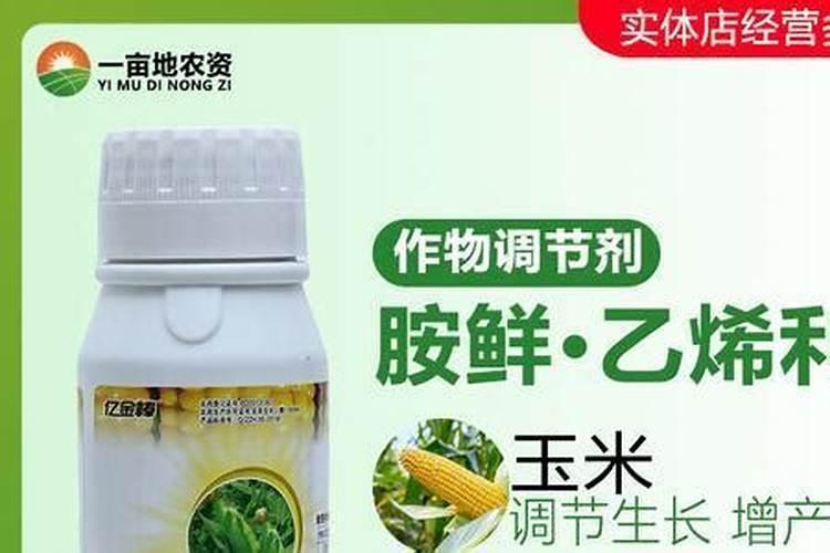 大棚芸豆不分化花芽怎么办