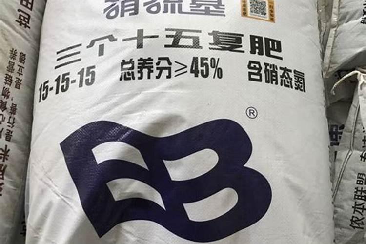 莲蓬怎么吃生莲子做菜做汤怎么弄