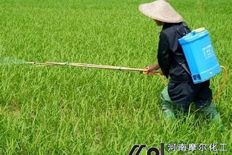 氨基酸水溶肥料的用法？