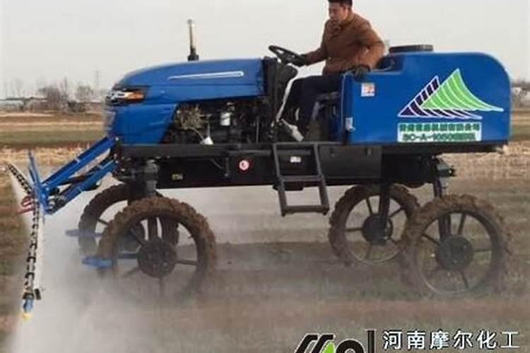 小麦叶面肥什么时候用好