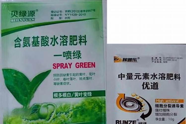 植物叶子油亮用什么肥(叶子油光发亮)