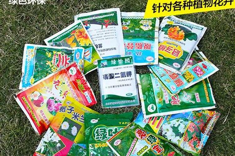 多肉施什么肥最好