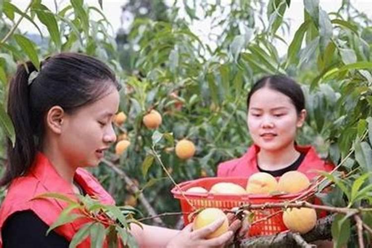 碳氨放卤水里比例多少合适