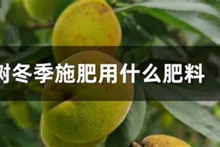 春天要桃花冬天一定要保养好!