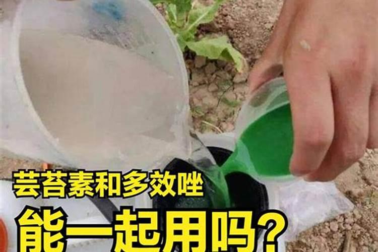 烟草花叶病要用什么药