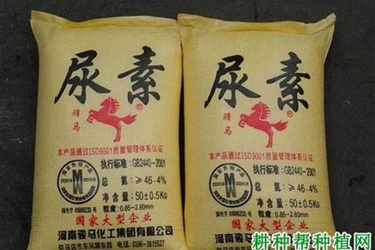 氮肥是什么肥