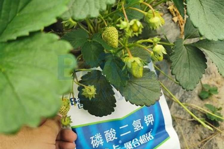 土壤改良土壤改良剂