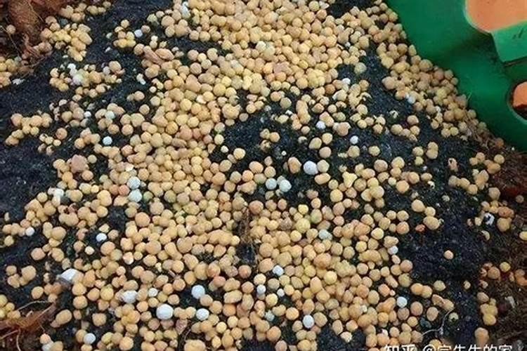 磷肥的沤制方法 关于磷肥的沤制方法