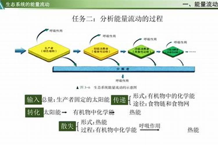 白兰花用什么肥料