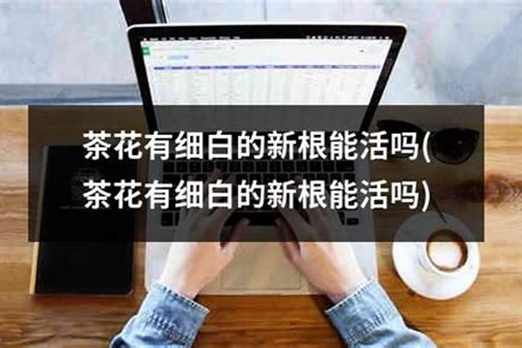 种植大姜想要产量高、品相好,都有哪些技巧？