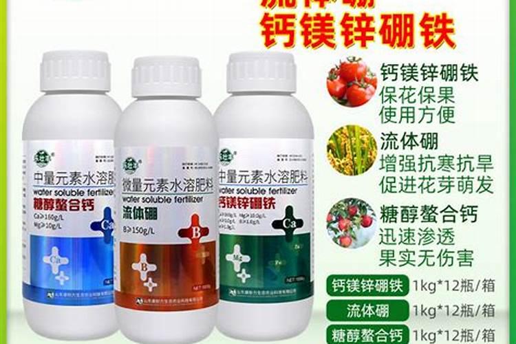 麻烦问下各位老师看看着西红柿是啥病害
