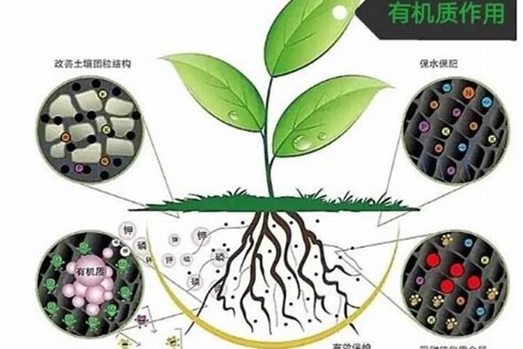 大量使用化肥对土壤造成什么危害？