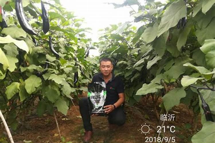 天水金宝丰农业开发有限公司怎么样？