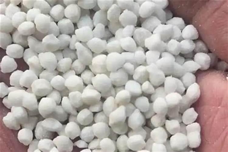 大棚种植桃树,该如何管理？