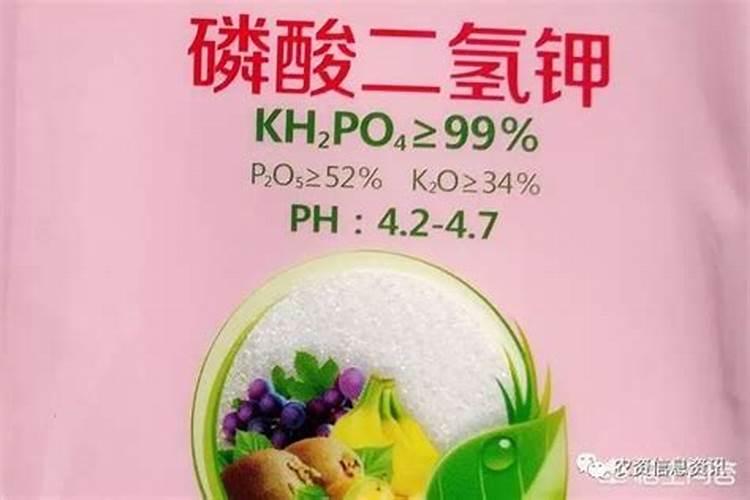 吊兰施什么肥料长得好