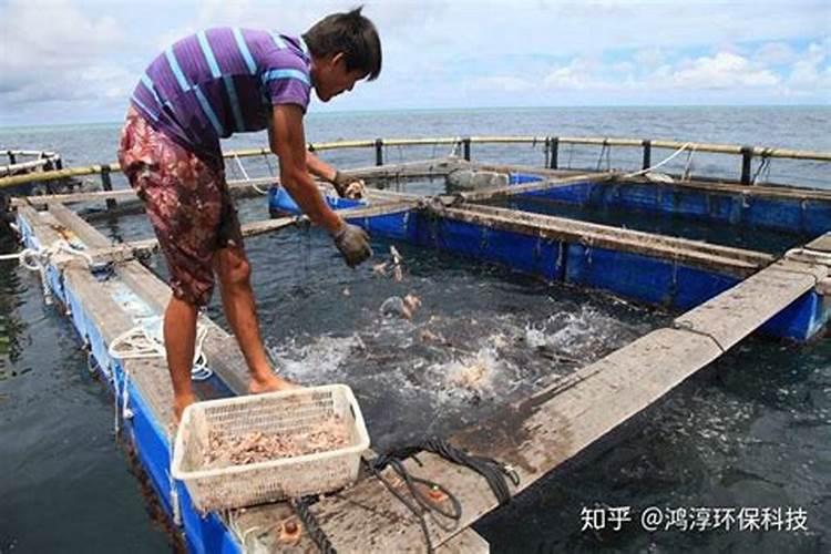 202020水溶肥配方