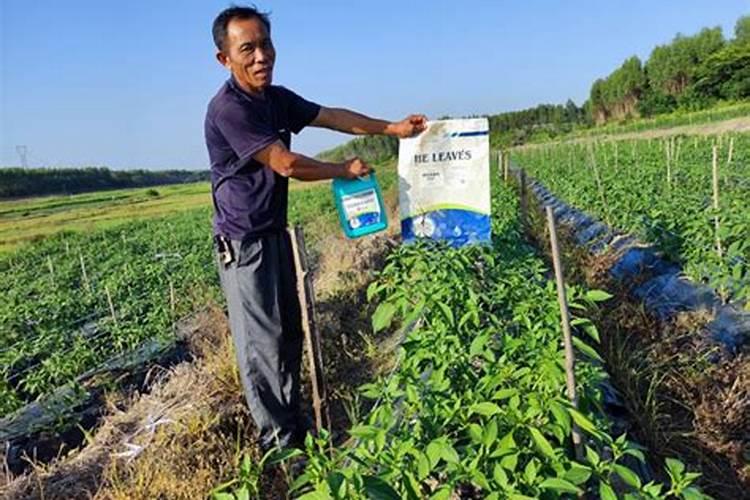 新疆德福优品生物科技有限公司怎么样？