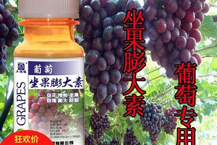 当葡萄处于开花期,此时浇水并施加硼肥行不行