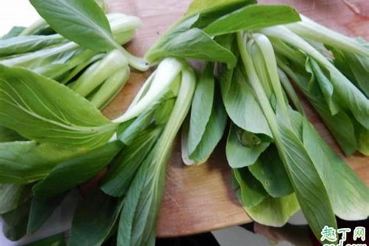 油菜的硼肥怎么施用？需要注意哪些方面？