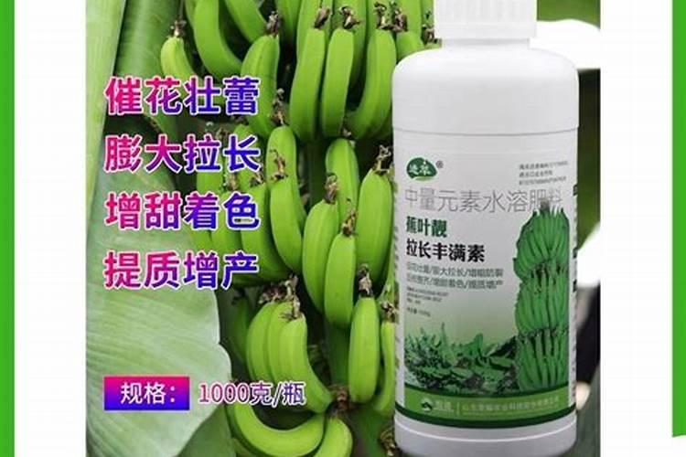 香蕉挂果的时候用什么肥料最好？