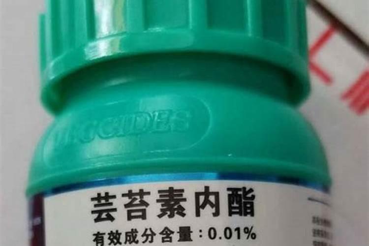 脐橙树烂根用什么药可以治好