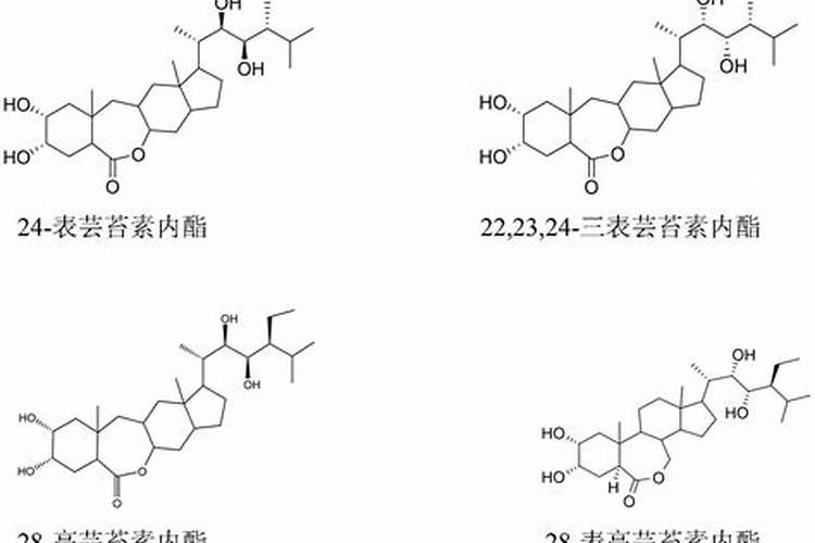 金豆是国家保护植物吗