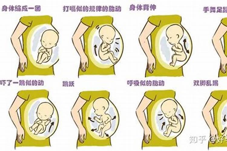 茶花夏天可以施肥吗