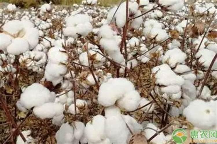 科普· 药害那些事儿(下)药害表现类型以及案例