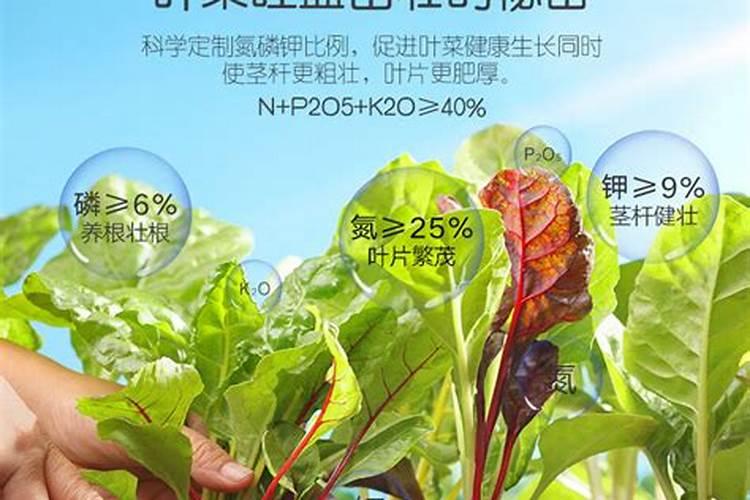 菜不用钾肥行吗