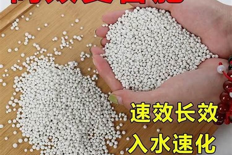 柚子树施肥方法和注意事项 教你柚子树施肥方法和注意事项