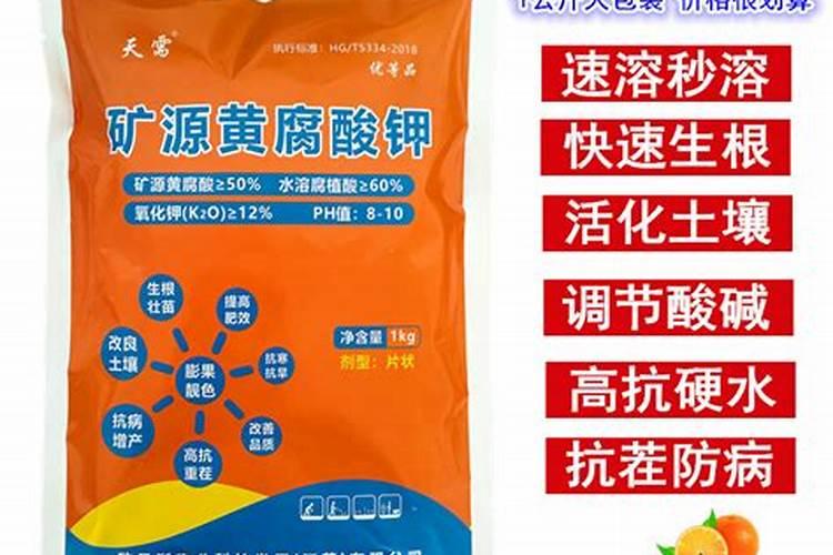 种植西瓜用什么肥料最佳