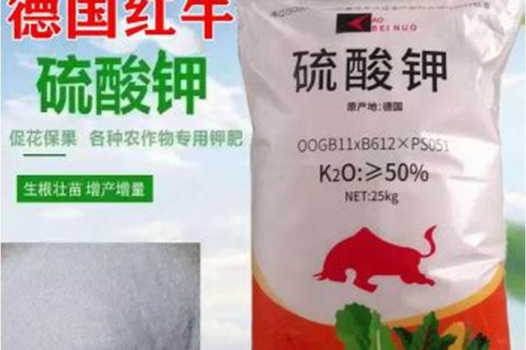 【百香果】的功效与作用