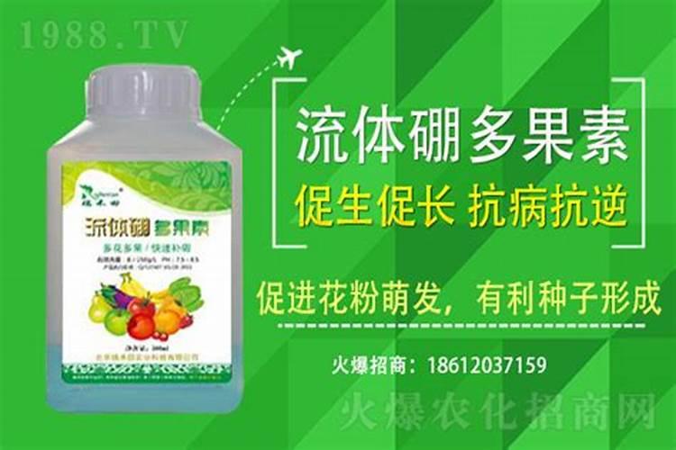桔子树用什么肥料最好