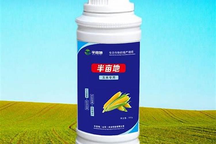 小麦怎样利用芸苔素内酯