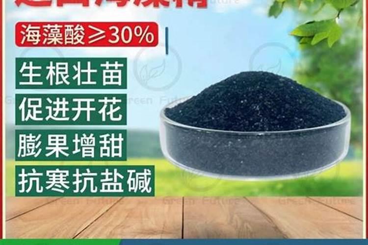 海藻钾含氮高吗