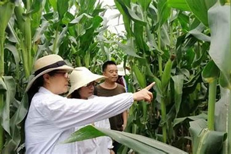 液体氮肥哪个厂家好