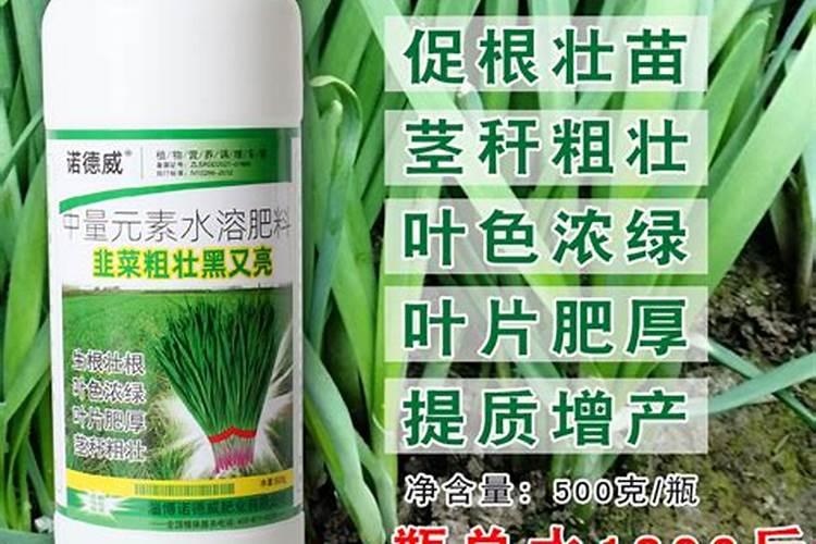 韭菜施肥时间和方法