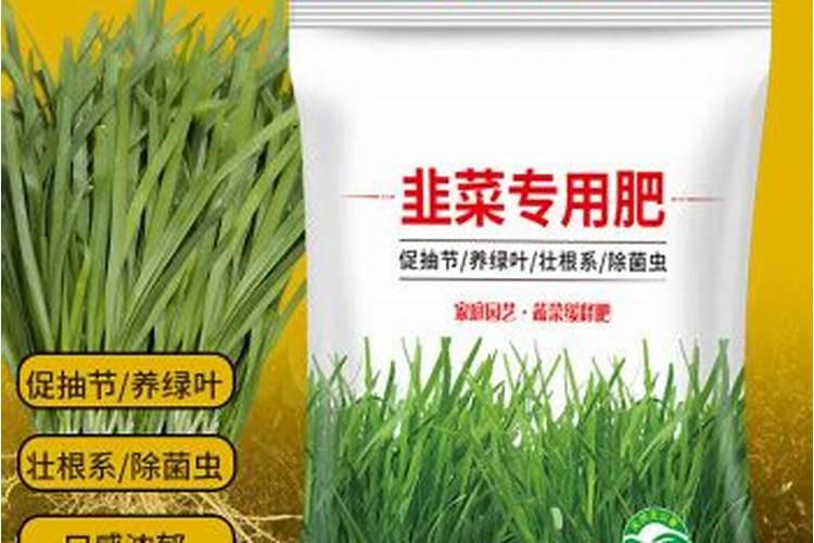 韭菜施肥方法和技术