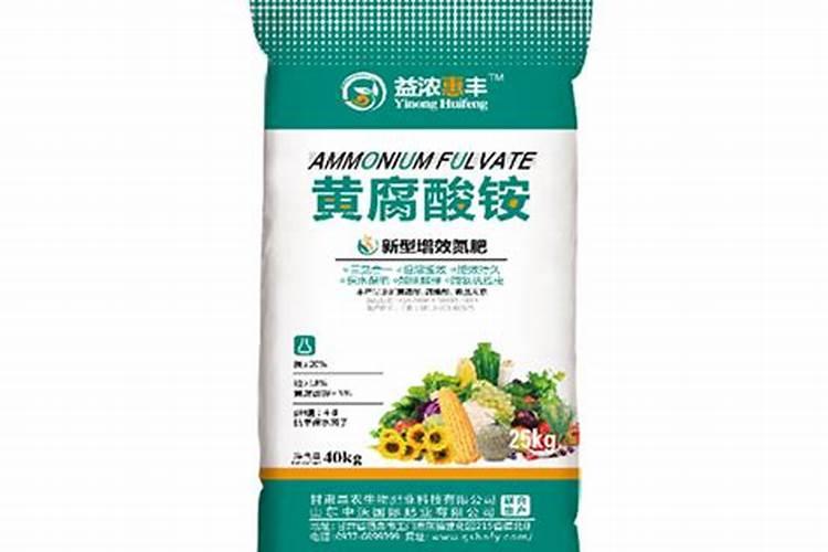 月季春天开花吗