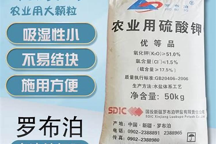 多肉被晒紫了还能存活吗,多肉被晒紫了,还能存活吗？
