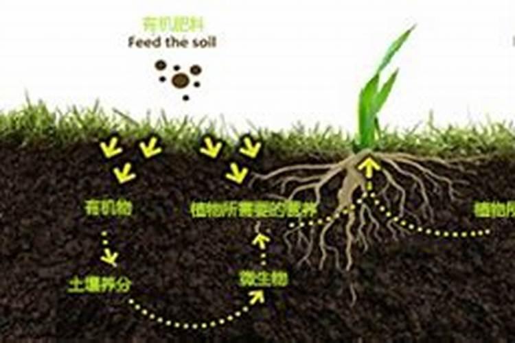 氮磷钾 生物菌肥 有机肥 可不可以混合在一起追肥