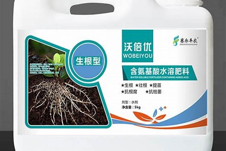 有什么可以促进黄精根系生长的水溶肥么？
