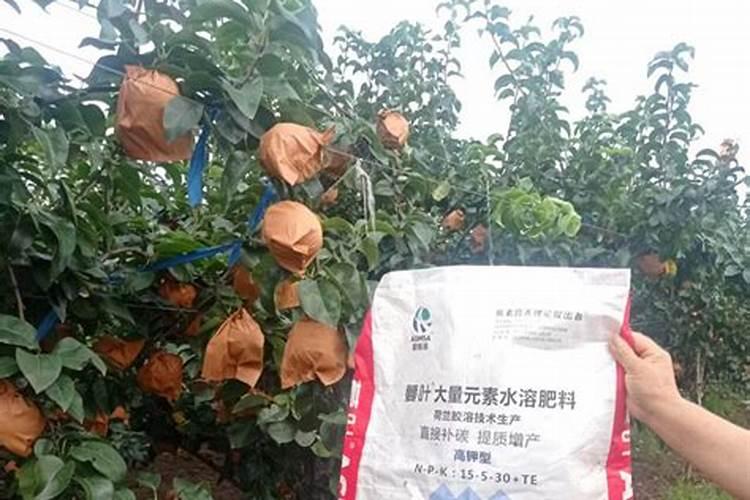 硫酸铜钙与微量元素肥可以混用吗？