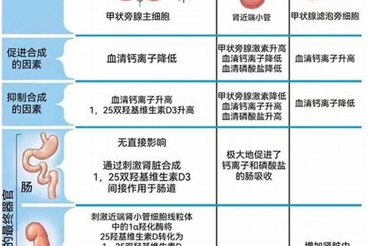钾肥过量有什么危害科学施肥
