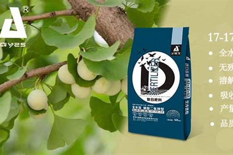 白果树施什么肥料生长快