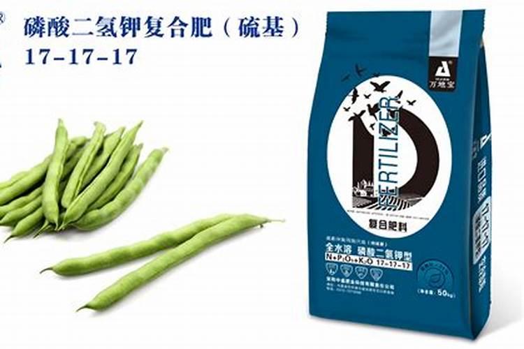 西红柿的卷叶病治疗法