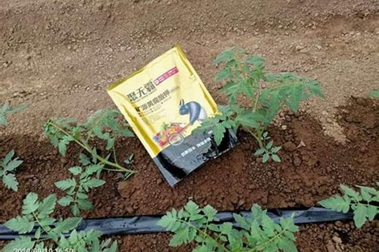 种植花生亩施多少复合肥最合适